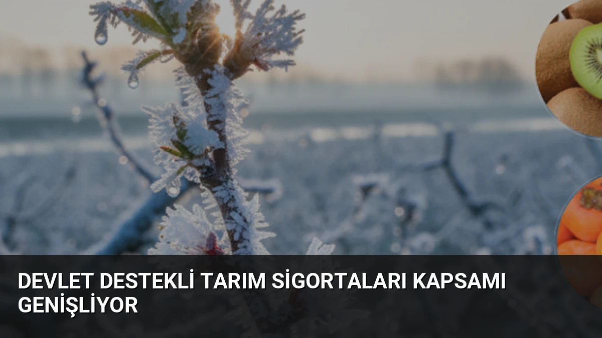 Devlet Destekli Tarım Sigortaları Kapsamı Genişliyor