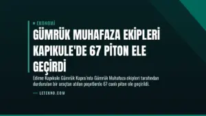 Gümrük Muhafaza Ekipleri Kapıkule’de 67 Piton Ele Geçirdi