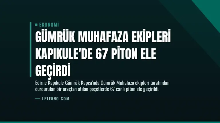 Gümrük Muhafaza Ekipleri Kapıkule’de 67 Piton Ele Geçirdi