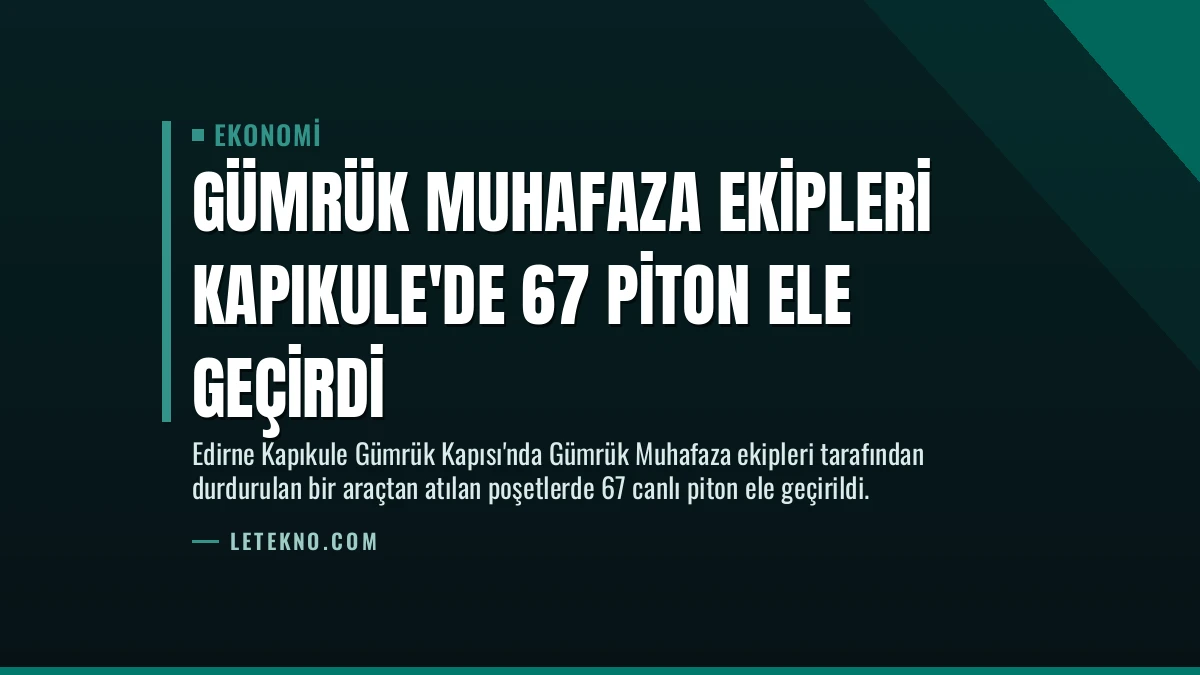 Gümrük Muhafaza Ekipleri Kapıkule’de 67 Piton Ele Geçirdi