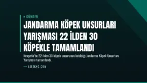 Jandarma Köpek Unsurları Yarışması 22 İlden 30 Köpekle Tamamlandı