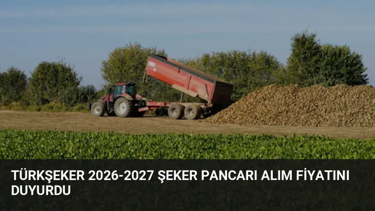 TÜRKŞEKER 2026-2027 Şeker Pancarı Alım Fiyatını Duyurdu
